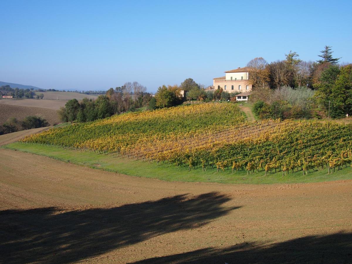 Agriturismo Poggiarellino - Монтальчино Экстерьер фото